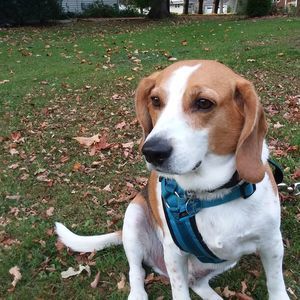 Meet your Posher, Molly